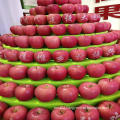 High Quality Fresh Apples